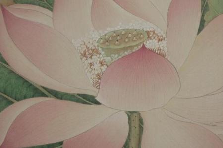 芙蓉出水打一生肖(芙蓉出水打一生肖答案)