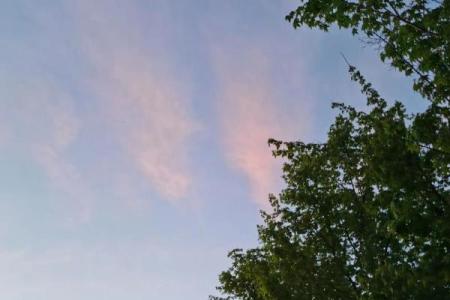 良辰美景指什么生肖(良辰美景猜一种动物)