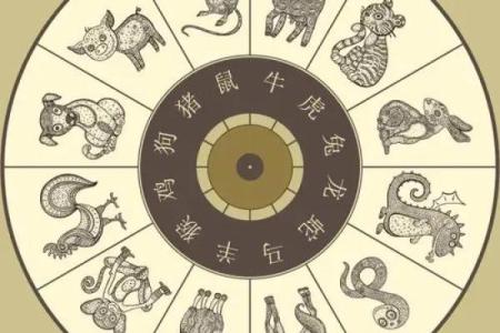 31岁是哪年出生 31岁是哪年出生的属什么生肖