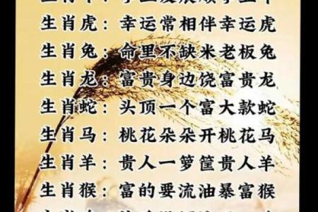 属相是生肖的意思吗 属相是指