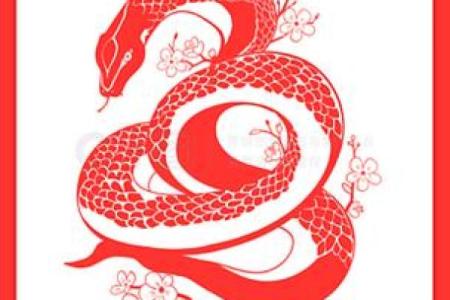 红色梅花三六九是什么生肖(红色梅花三六九是什么生肖和数字)