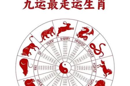 ‌一眼关七代表什么生肖 → 马‌（马眼宽阔，视野极广）