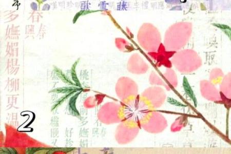 春秋生肖打一正确生肖 春秋打一最佳生肖答案