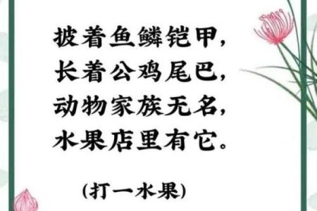 闭门不出指的是哪种动物？常见谜语答案及详细解析分享