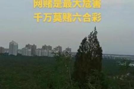 四分五裂打一生肖