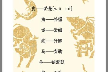想要准确了解嫌肥挑瘦所对应的生肖动物及其背后的典故解析