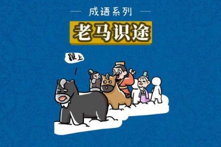 ‌老马识途的生肖 → 马（马老途熟，识途知返）‌
