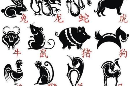 闭门造车打一生肖