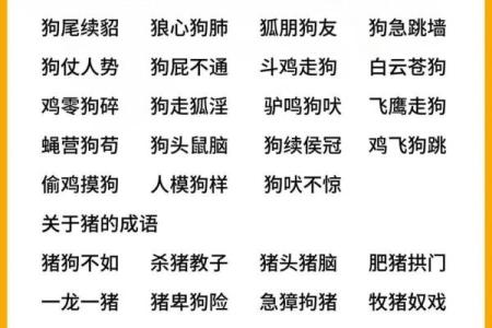 邑犬群吠打一肖动物正确答案揭秘，背后蕴含的成语故事是什么？
