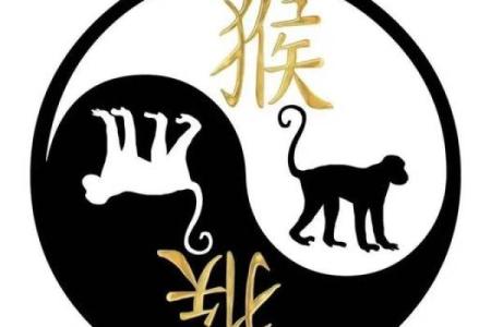的生肖是什么 68年属相是什么生肖