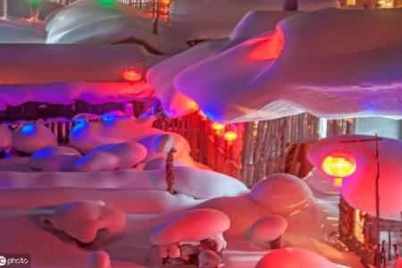 孙康映雪是什么生肖 囊萤映雪打一正确生肖