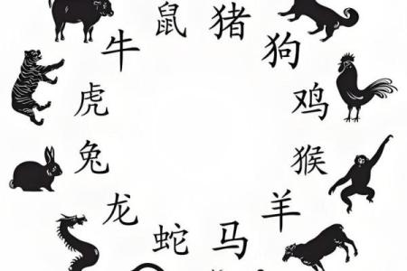 头头是道代表什么生肖，它的性格特点是否符合聪明机智的特征？