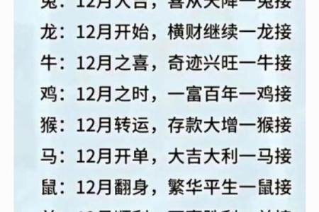 投木报琼打一生肖(投木报琼打一生肖或动物)