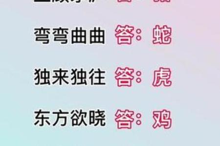 白马素车是什么生肖