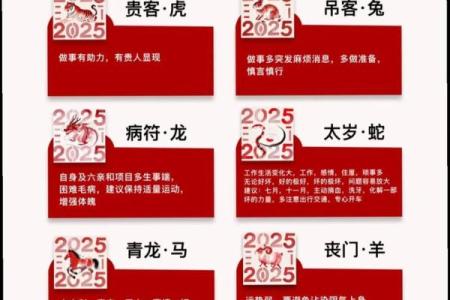 2025年运气最旺的三大生肖 2025年运气最旺的三大生肖,2025年正财位在哪儿