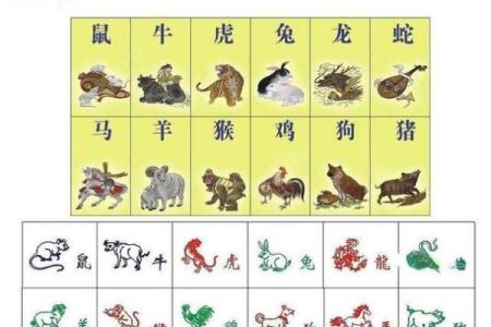 三大生肖是哪三个属相 十二生肖三大肖是指哪三肖