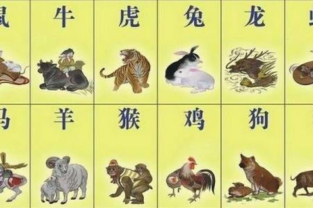 从命理角度看，哪些生肖的人一生顺遂，福气深厚，贵人运旺盛？