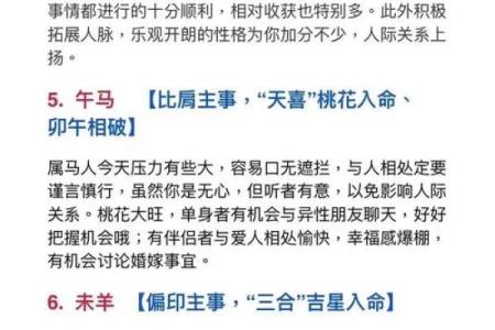 祸不单行是指什么生肖