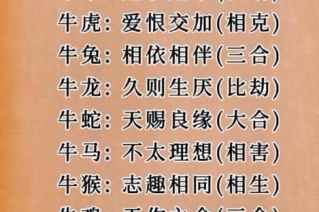 1997年属什么生肖最佳婚配 1997年出生的和什么属相好