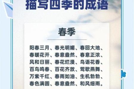 过耳秋风打一生肖的谜底是什么？详细解读着个成语的含义