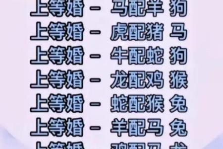 请问在十二生肖里面哪个生肖是代表秀外慧中着个品质的？