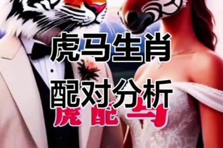 双双一对家和兴打一生肖