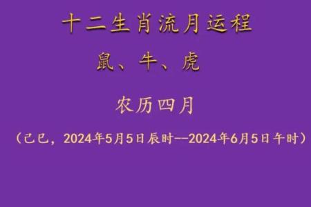 2004年是什么年属什么生肖 2004年是什么生肖年份