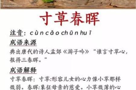 寸草春晖指什么生肖 寸草春晖打一生肖数字
