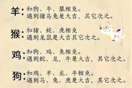 德肖有哪几个生肖 德属什么