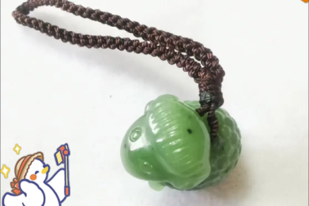 面黄肌瘦代表什么生肖(面黄肌瘦代表什么生肖)