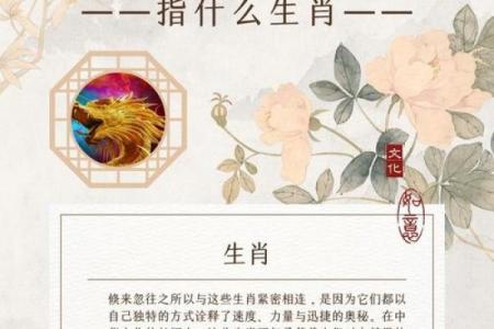 异想天开指什么生肖