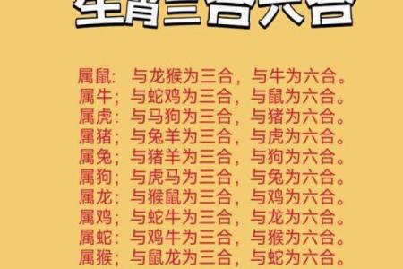大肖生肖是哪几个生肖 大肖是哪些生肖
