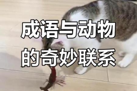 柔情似水打一生肖的谜底解析，着个成语代表什么动物？