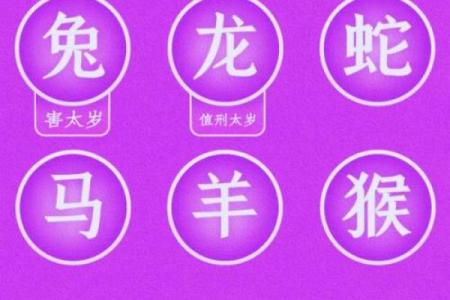 2024犯太岁的属相都是什么(2024犯太岁的属相都是什么生肖呢)