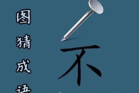 目不识丁打一生肖