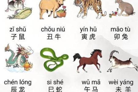 并是什么生肖 今天是属什么