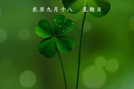 九月十八是什么日子(阴历九月十八是什么日子)