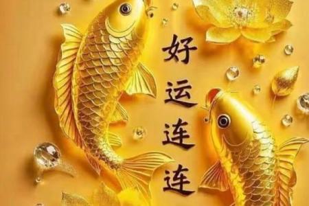 锦鲤加持什么意思 锦鲤加持好运连连
