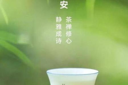 晨光初现是什么生肖(晨光初起的意思)