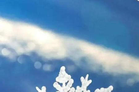 2022年的最后一个节气