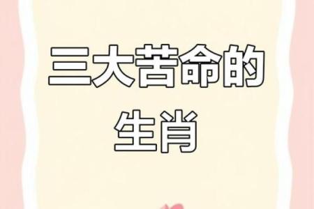 当仁不让打一个生肖
