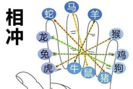 冰瓯雪椀是什么生肖