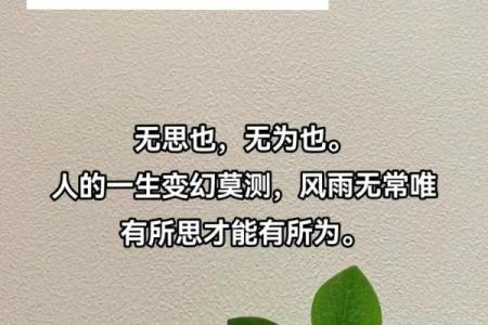 人无远虑打一准确生肖 人无远虑最佳生肖是什么