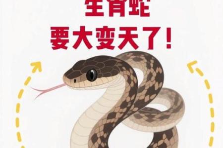 ‌龙头蛇尾中生肖 → 蛇‌（首尾相衔，蛇隐龙威）
