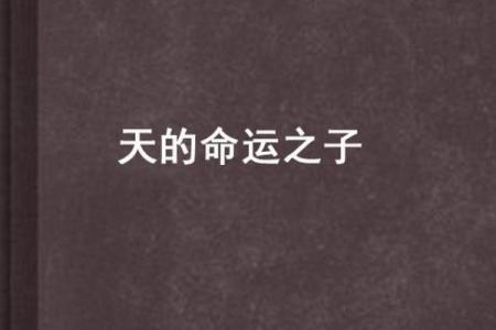 什么是天命之子 什么是天命之子的意思