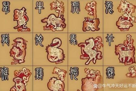 天高云淡是什么生肖