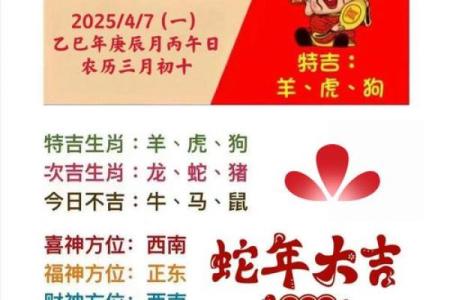 慌不择路是什么生肖 → 鼠‌（惊弓之鸟，仓皇乱窜）