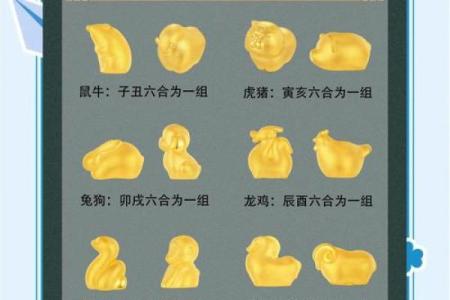 三合属相和六和属相是什么意思 属相三合和六个合生肖