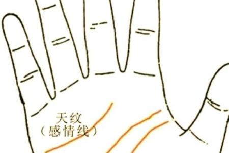 非常难得的十大吉祥手相(非常难得的十大吉祥手相图解)
