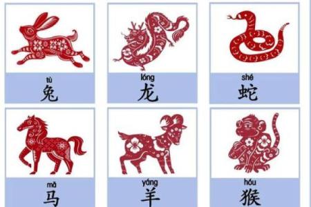 12生肖那个生肖最穷 十二生肖哪肖最穷